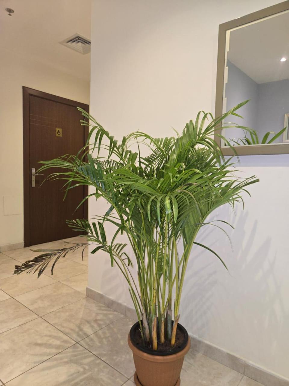 Al Raya Hotel Apartments Dubai Dış mekan fotoğraf